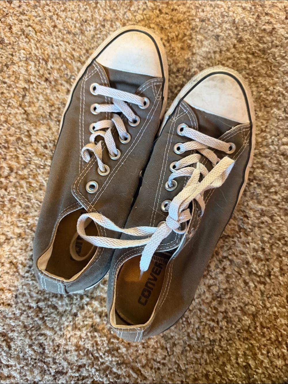 Converse Low Top Canvas Sneakers in Gray with White Toe